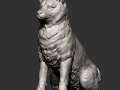 Shiba inu 3Dプリントモデル