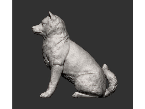 Shiba inu 3Dプリントモデル