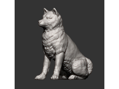 Shiba inu 3Dプリントモデル