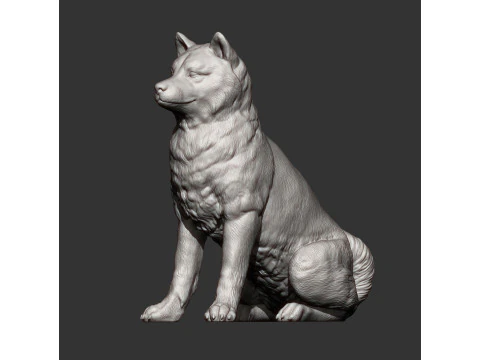 Shiba inu 3D Print Model