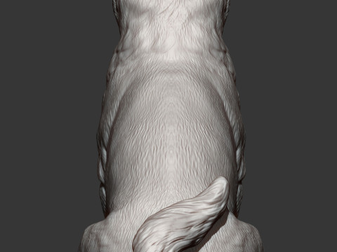 Shiba inu 3Dプリントモデル