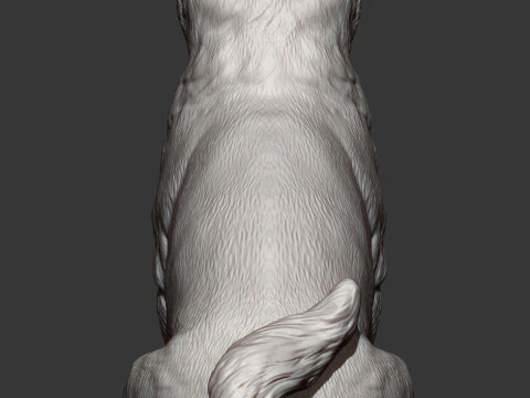 Shiba inu 3D Print Model