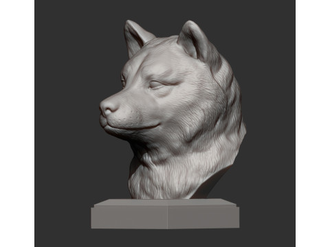 Shiba inu Modello di stampa 3D