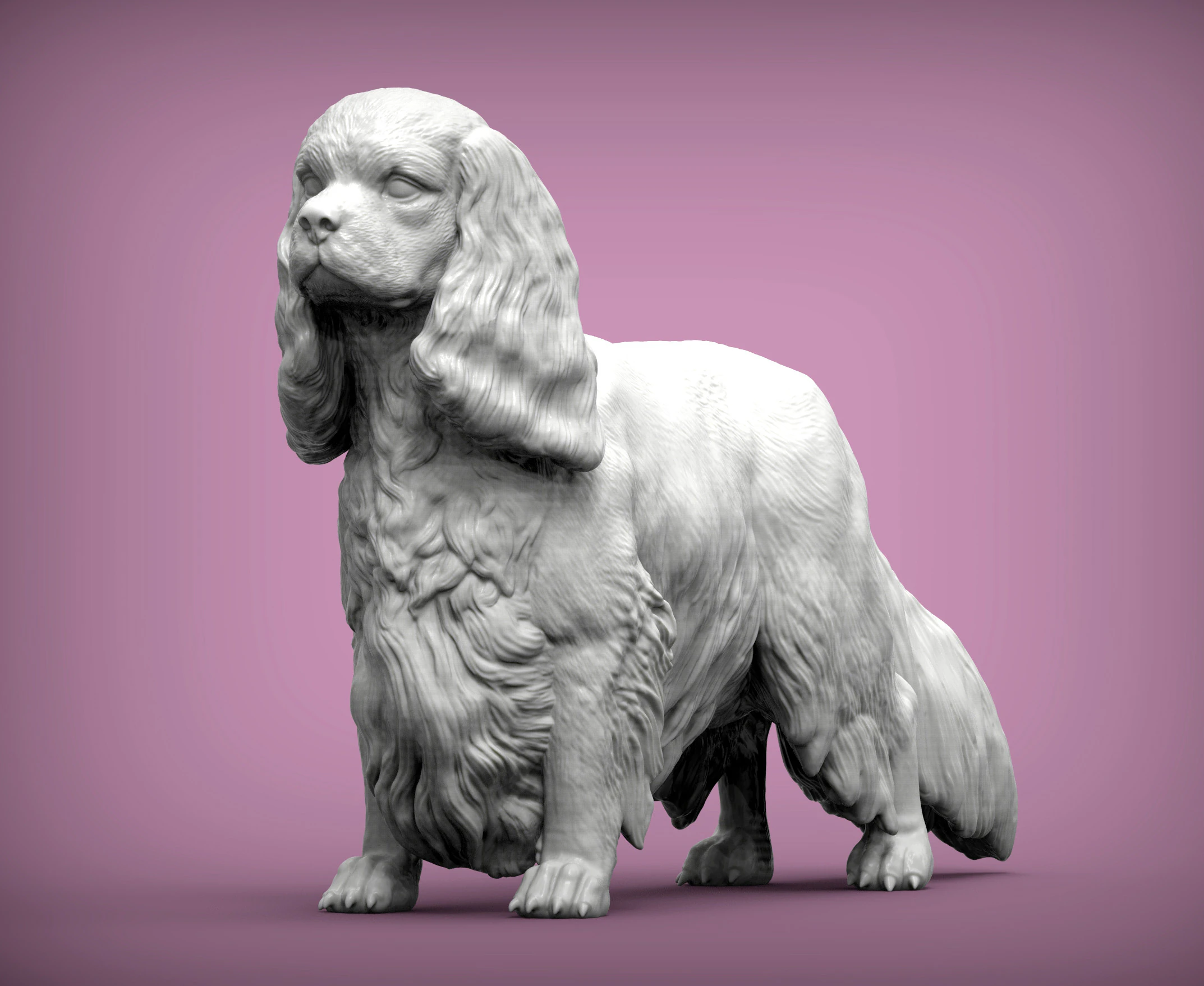 Spaniel cavalier king charles 3D Print Model .c4d .max .obj .3ds .fbx .stl .blend 