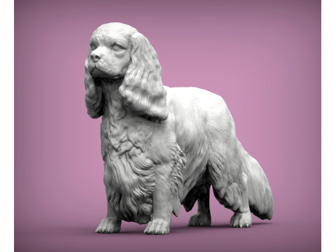 Spaniel cavalier king charles 3Dプリントモデル