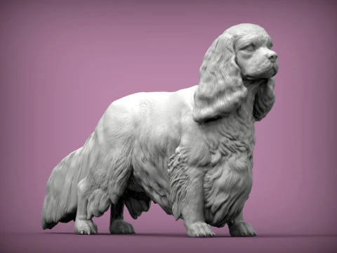 Spaniel cavalier king charles 3D Print Model