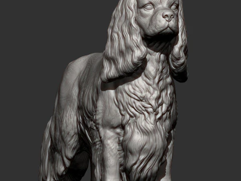 Spaniel cavalier king charles 3D Print Model