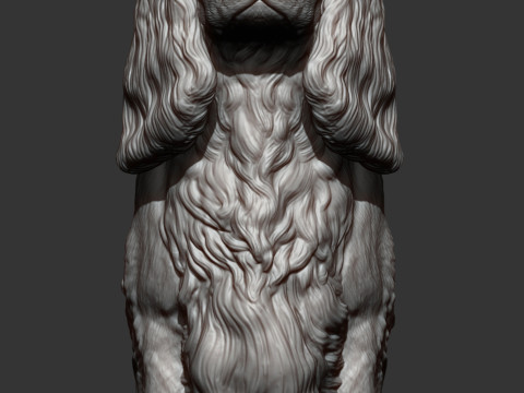 Spaniel cavalier king charles 3D Print Model