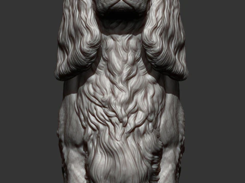 Spaniel cavalier king charles 3D Print Model