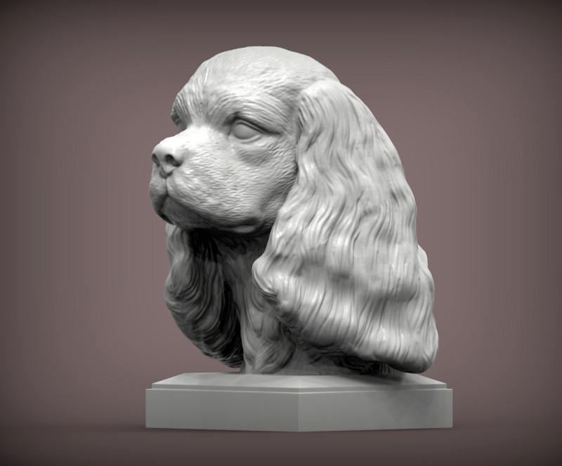 Spaniel cavalier king charles 3D Принт Модель .c4d .max .obj .3ds .fbx .stl .blend