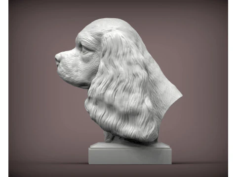 Spaniel cavalier king charles 3D Print Model