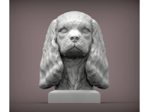 Spaniel cavalier king charles 3D Print Model