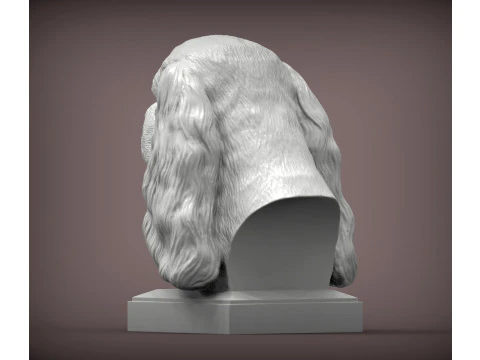 Spaniel cavalier king charles 3D Print Model