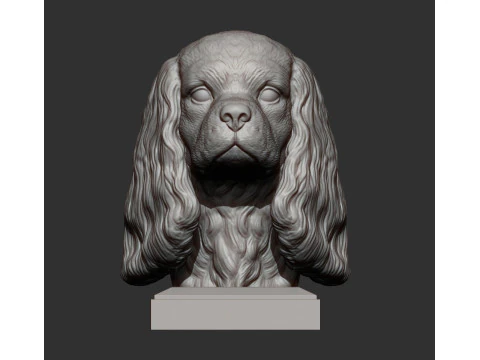 Spaniel cavalier king charles 3D Print Model