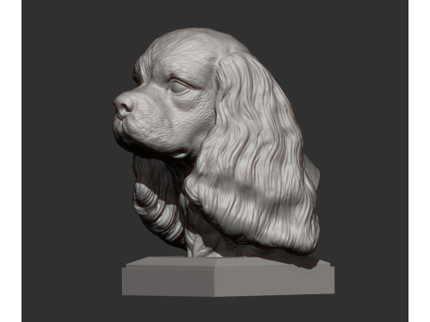 Spaniel cavalier king charles 3D Принт Модель