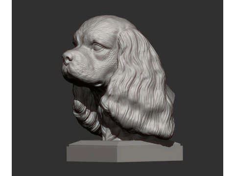 Spaniel cavalier king charles 3D Print Model