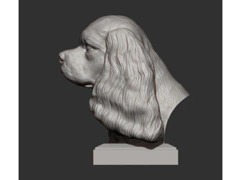 Spaniel cavalier king charles 3D Print Model