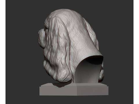 Spaniel cavalier king charles 3D Принт Модель
