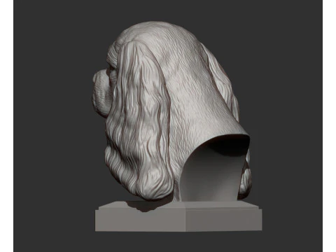 Spaniel cavalier king charles 3D Print Model