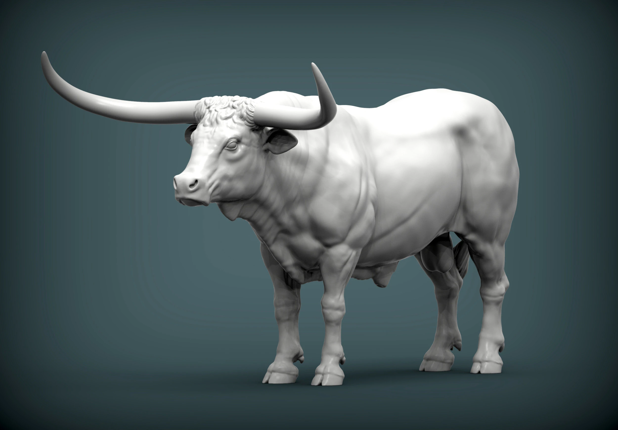 Texas Longhorn 3D Print Model .c4d .max .obj .3ds .fbx .stl .blend 