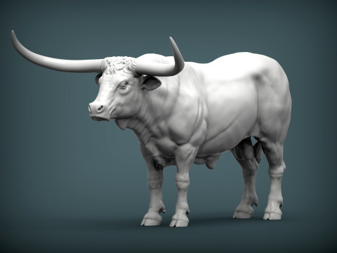 Texas Longhorn 3D Print Model