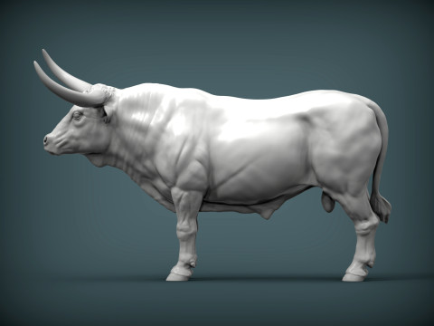 Texas Longhorn 3Dプリントモデル