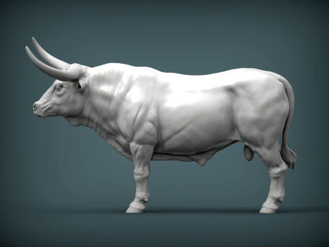 Texas Longhorn 3D Print Model