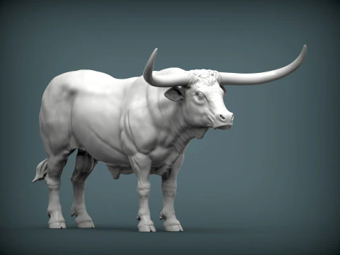 Texas Longhorn 3D Print Model