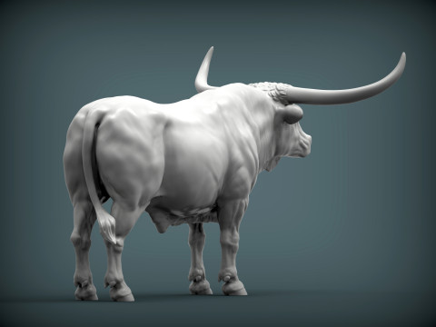 Texas Longhorn 3Dプリントモデル