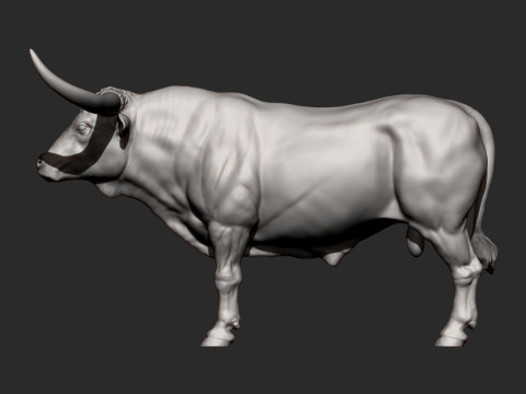 Texas Longhorn 3Dプリントモデル