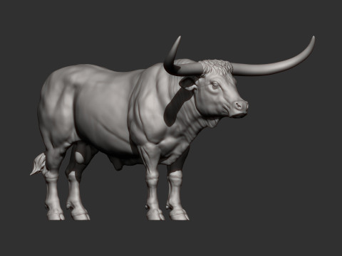 Texas Longhorn 3Dプリントモデル