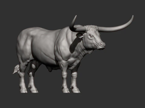 Texas Longhorn 3D Print Model