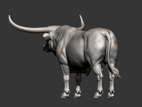 Texas Longhorn 3Dプリントモデル