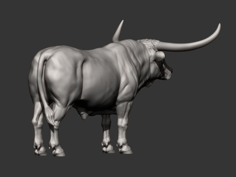 Texas Longhorn 3Dプリントモデル