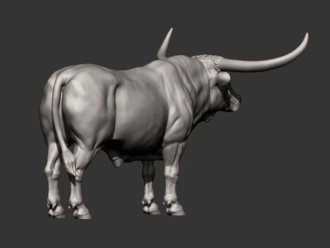 Texas Longhorn 3D Print Model