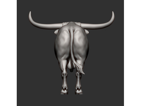 Texas Longhorn 3Dプリントモデル
