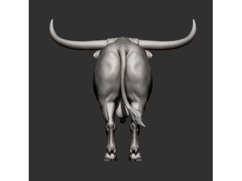 Texas Longhorn 3D Print Model
