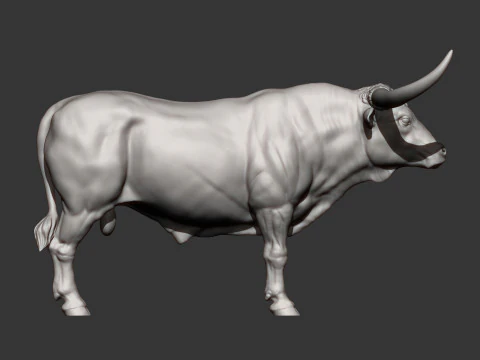 Texas Longhorn 3D Print Model