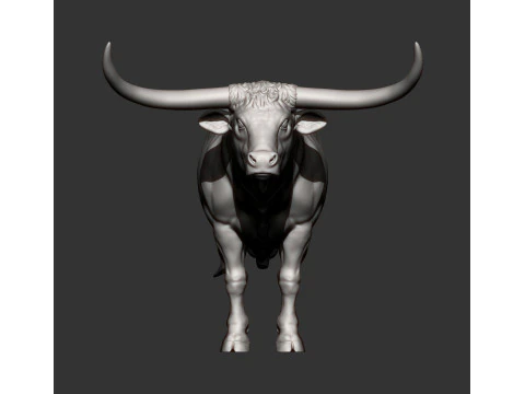 Texas Longhorn 3D Print Model