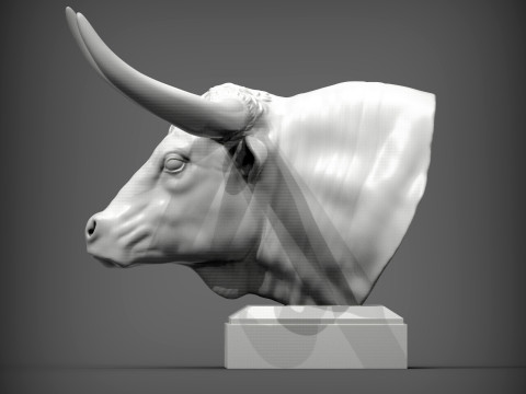 Texas Longhorn Modello di stampa 3D