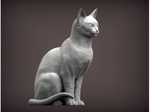 Abyssinian cat 3Dプリントモデル