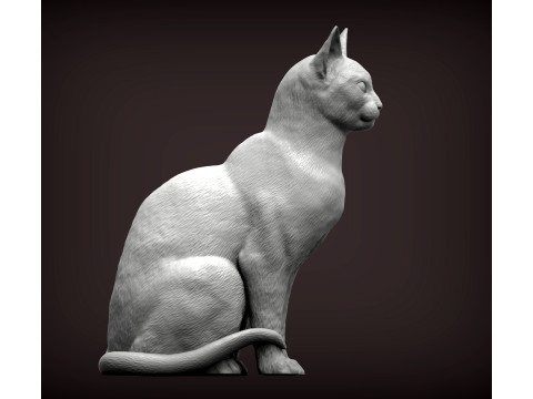 Abyssinian cat 3D 打印模型