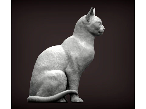 Kot abisyński Model do druku 3D