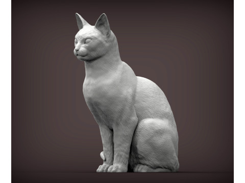 Abyssinian cat 3D 打印模型