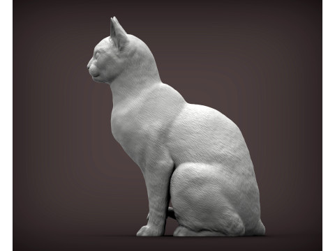 Abyssinian cat 3D 打印模型