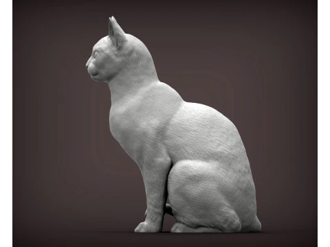 Kot abisyński Model do druku 3D