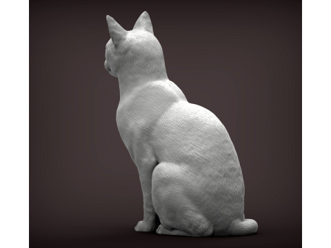Abyssinian cat 3D 打印模型
