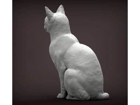 Kot abisyński Model do druku 3D