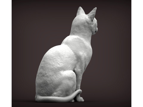 Abyssinian cat 3D 打印模型