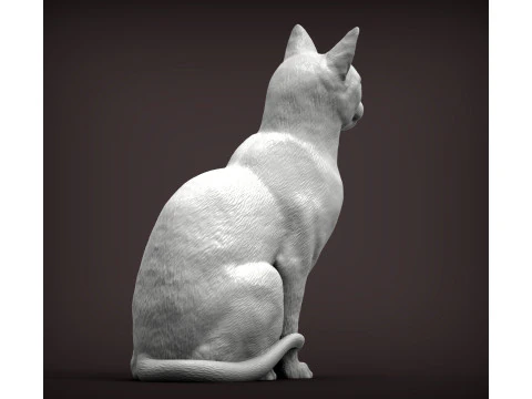 Kot abisyński Model do druku 3D